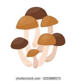 Agaric honey mushroom in flat style. Hand drawn vector illustration of edible wild forest mushrooms. Autumn symbol, organic food icon. Isolated element for design