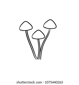 Agaric mushroom hand drawn outline doodle icon. Vector sketch illustration of healthy raw mushroom for print, web, mobile and infographics isolated on white background.