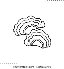 Agaricomycetes, white rot vector icon in outline