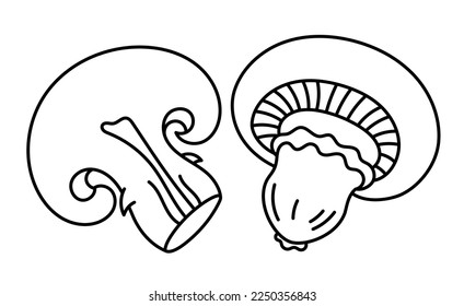 Agaricus or champignons. Edible mushrooms. Vector line. Editable outline stroke.