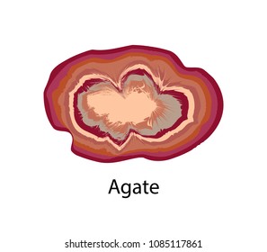 Agate rock consisting primarily of cryptocrystalline silica chalcedony, alternating with microgranular quartz, vector stone isolated on white