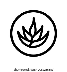 Agave aloe vera outline icon. Succulent leaves, cactus thorns. Green plant sprouts. Contour symbol. Vector color illustration isolated drawing.