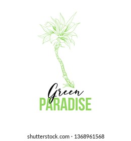 Agave Attenuata hand drawn vector illustration. Sketch tropical palm tree. Exotic plant, flower outline drawing. Green paradise lettering. Summer resort, beach party poster design element