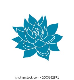 Agave blue plant in flat style. Vector illustration isolated on white background. Agave syrup for making tequila. Mexican silhouette succulent hand drawn. Desert flower abstract sketch for print