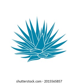 Agave blue plant in flat style. Vector illustration isolated on white background. Agave syrup for making tequila. Mexican silhouette succulent hand drawn. Desert flower abstract sketch	