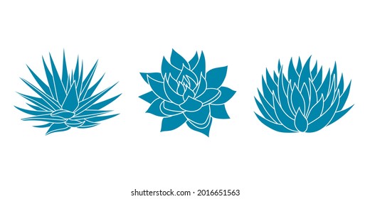 Agave blue set plant in flat style. Vector illustration isolated on white background. Agave syrup for making tequila. Mexican silhouette succulent hand drawn. Desert flower abstract sketch