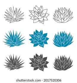 Planta agave azul en estilo plano. Ilustración vectorial aislada en fondo blanco. Agave jarabe para hacer tequila. La silueta mexicana es suculenta y extraída a mano. Esbozo abstracto de flores del desierto