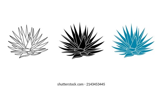 Agave blue set plant in flat style. Vector illustration isolated on white background. Agave syrup for making tequila. Mexican silhouette succulent hand drawn.