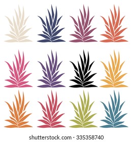 Agave bush set isolated on white background. Aloe Vera, succulent plant. Vector illustration.