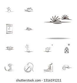 agave desert icon. Desert icons universal set for web and mobile