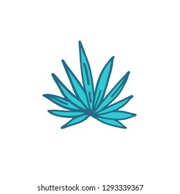 agave doodle icon