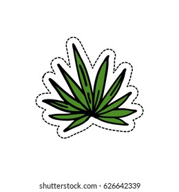 agave doodle icon