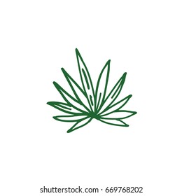 agave doodle icon