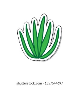 agave doodle sticker icon, vector illustration