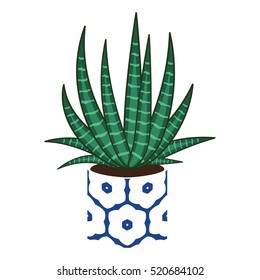 Agave home plant in a ceramic pot vector illustration. Houseplant icon.