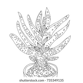 Agave. Home plant in pot. Exotic, tropical. Vector artwork. Black and white, monochrome. Coloring book pages for adult. Boho, bohemian print. Logo label