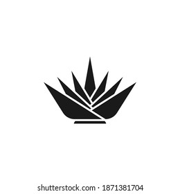 Agave icon design isolated on white background. Vector illustration