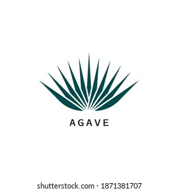 Agave icon design isolated on white background. Vector illustration