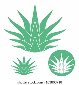 Agave. Isolated icons on white background. 