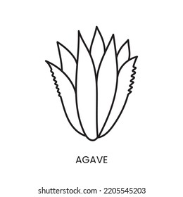 Agave line icon in vector, illustration of the product from which sugar is made.