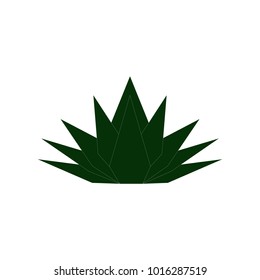 Agave logo, illustration, vector