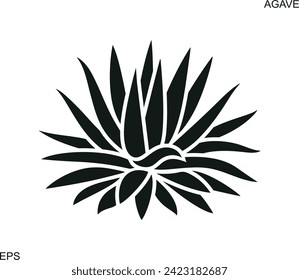 Agave logo. Isolated agave on white background