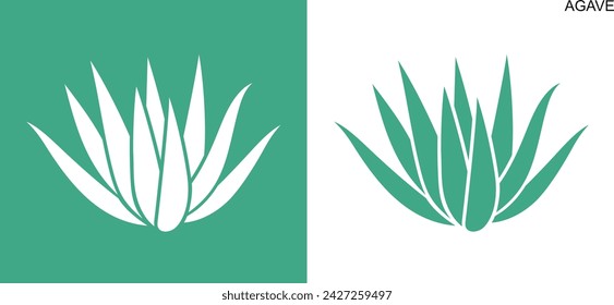 Agave logo. Isolated agave on white background