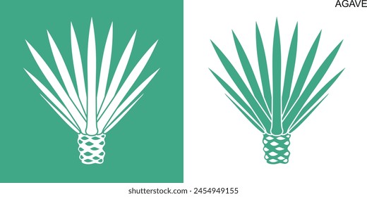 Agave logo. Isolated agave on white background