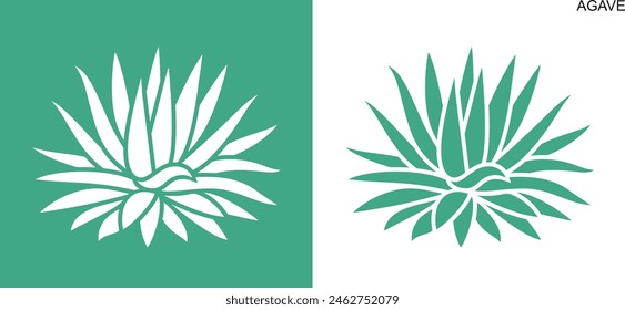 Agave logo. Isolated agave on white background