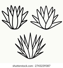 Agave outline icon set featuring three stylized agave plant variations in bold line style. The designs are inspired by Mexican culture and tequila production, representing Agave tequilana with different geometric structures and levels of detail. This versatile icon set is ideal for logo design, tequila and mezcal branding, packaging, labels, infographics, mobile apps and website interfaces. The bold outline style ensures strong visibility and adaptability across modern design systems.