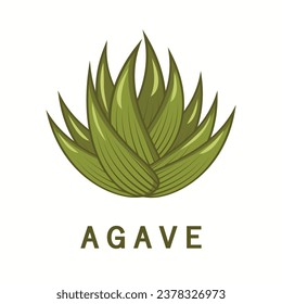 Agave plant design logo icon flat modern isolated vector illustration