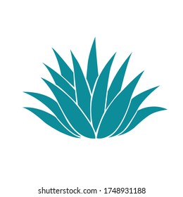 Agave Plant Isolated On White Background.illustration Vector,Tequila Logo.