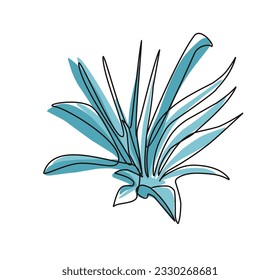 agave plant one continuous line drawing vector illustration