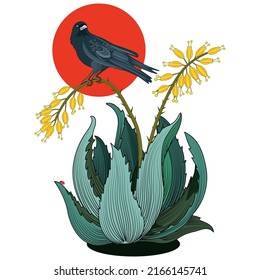 Agave Plant and raven standing in red sun
