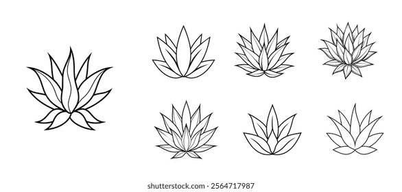 Agave Plant Vector Art Bundle Collection