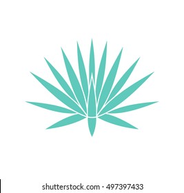 Agave Plant. Vector Illustration EPS