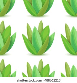 Agave - seamless pattern with desert plants. Nature floral background with green succulent leaf. Wallpaper with plantation of aloe. Vector illustration