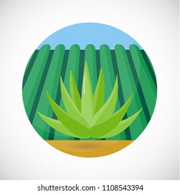 Agave Vector Flat Icon, Flat Design Of Tequila Product Ingredient, Agave Heart, Field And Sky Background, Vector Concept Illustration With Shadows