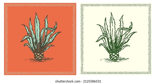 Agave vintage retro poster illustration