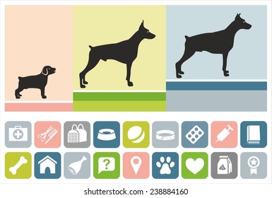 The Age Of The Dog.  The Picture Of Three Dogs Of The Same Breed In Different Ages, From A Puppy To An Old Dog. Icons With The Attributes Of Life Of Dogs. For Printing And Websites. 