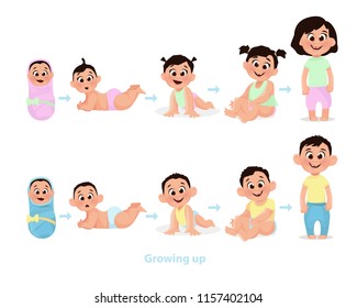 Stages Human Growth Development Images, Stock Photos & Vectors ...