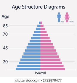 Diagrama demográfico de la pirámide de población de la estructura de la Edad