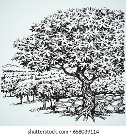 Aged autumn biblical scenic view. Rural road at lush old Ficus. Freehand outline ink hand drawn scenery sketchy in art retro doodle contour style pen on paper with space for text on sky background