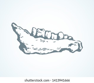 Aged internal low coronoid bony museum artifact. Freehand line black ink hand drawn logo emblem sign design in antique art cartoon doodle etched style pen on light paper space for text. Close up view
