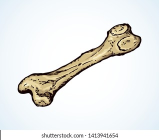 Aged large man arm limb part bony object. Close up historic healthy retro big museum artifact. Freehand line black ink drawn logo emblem in antique art cartoon doodle engrave style pen on white paper