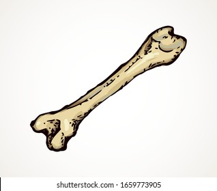 Aged large man arm limb part bony object. Close up historic healthy retro big museum artifact. Freehand line black ink drawn logo emblem in antique art cartoon doodle engrave style pen on white paper