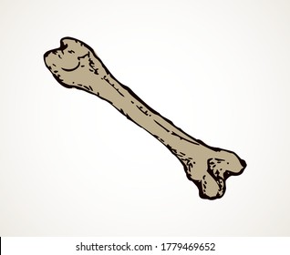 Aged large man arm limb part bony object. Close up historic healthy retro big museum artifact. Freehand line black ink drawn logo emblem in antique art cartoon doodle engrave style pen on white paper