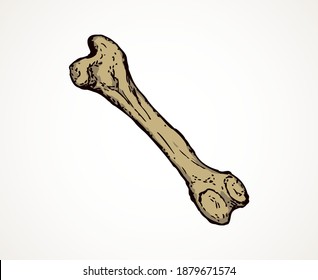 Aged large man arm limb part bony object. Close up historic healthy retro big museum artifact. Freehand line black ink drawn logo emblem in antique art cartoon doodle engrave style pen on white paper