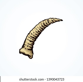 Aged ornate bony horn object. Close up historic museum artifact. Freehand outline black ink hand drawn logo emblem design in antique art cartoon doodle etched style pen on white paper space for text