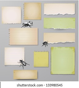 Aged paper objects with bugs for your design. Vector illustration